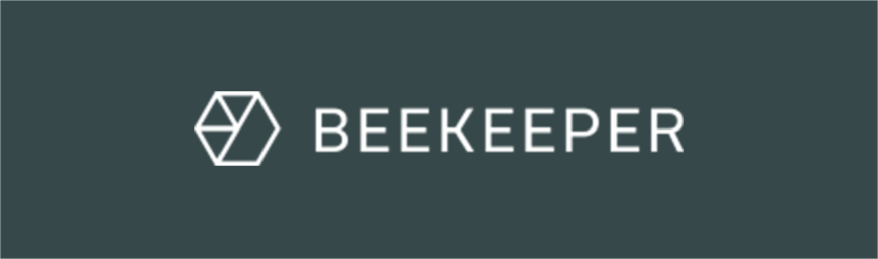 POLYPOINT-Partnerlogo-beekeeper