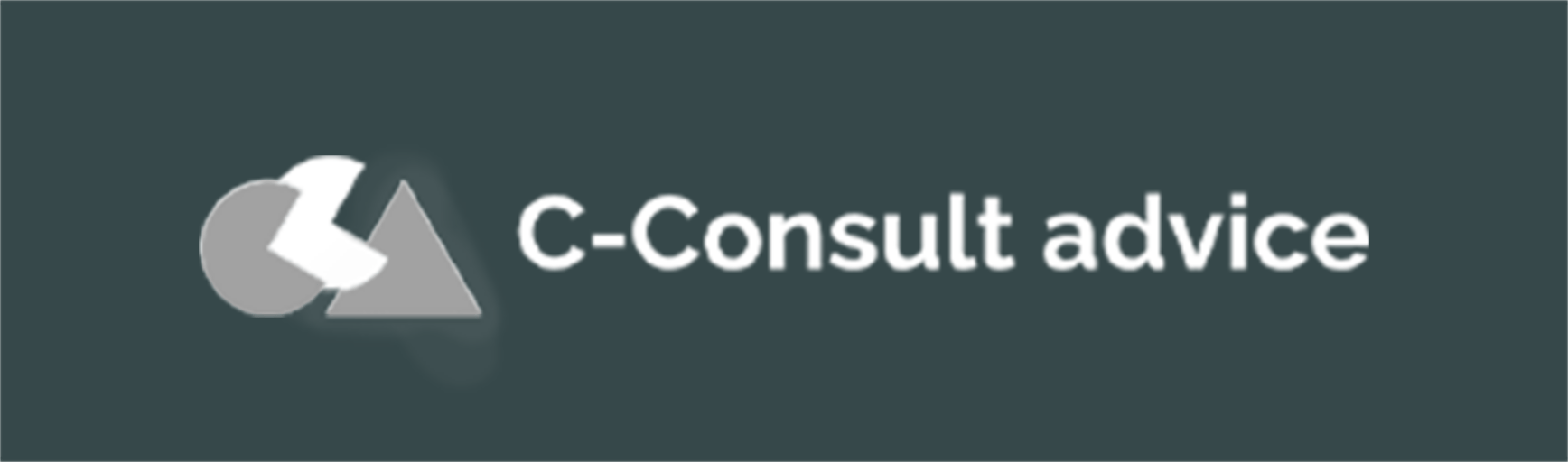POLYPOINT-Partnerlogo-c-consult-advice