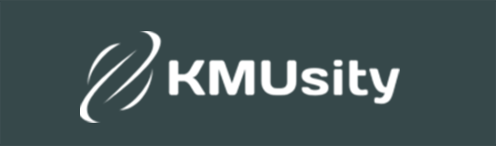 POLYPOINT-Partnerlogo-kmusity