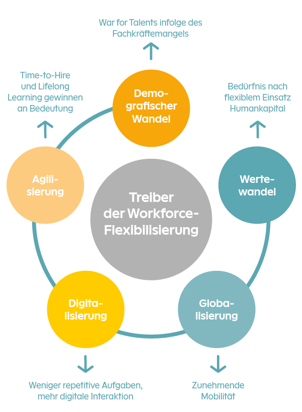 220708_POLYPOINT_Grafik_Treiber_Workforce_DE